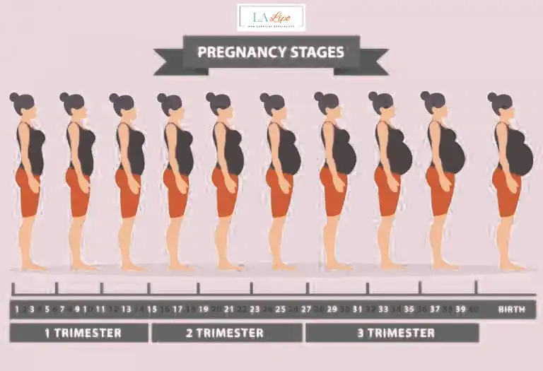First Trimester (Weeks 1–12): Early Changes You Might Not Notice Greater London (Westminster)